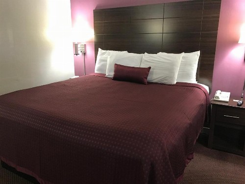 Silver Princess Motel - image 24