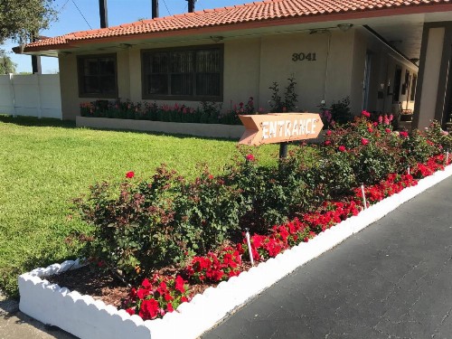Silver Princess Motel - image 37
