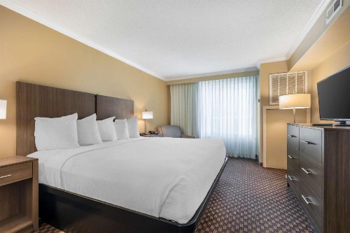 Best Western Ocean City Hotel and Suites - image 9