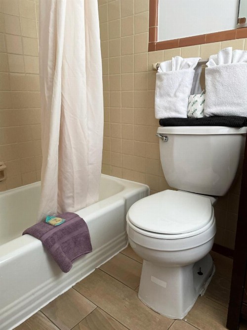 Kings Arms Motel - image 24