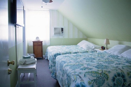 Atlantic House Bed & Breakfast - image 5