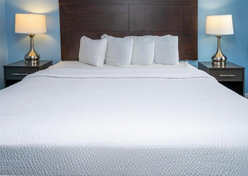 Commander Beach House Hotel - image 9