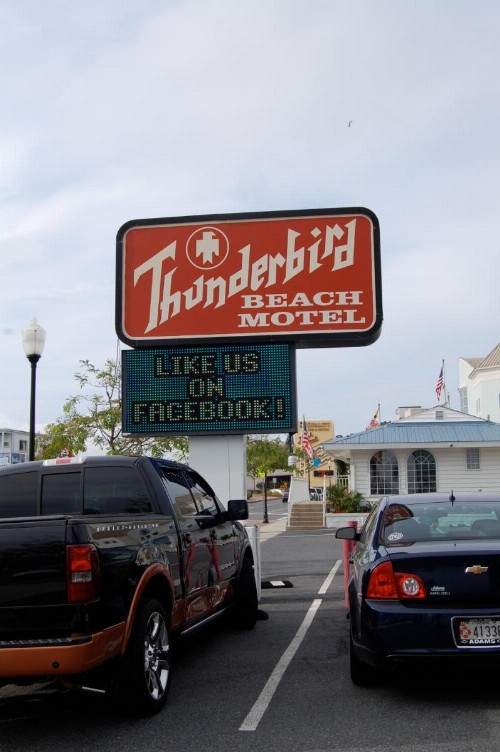 Thunderbird Beach Motel - image 10