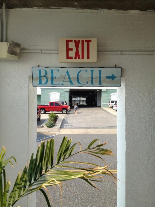 Thunderbird Beach Motel - image 5