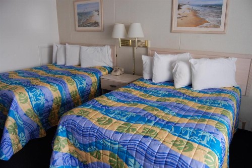 Thunderbird Beach Motel - image 7
