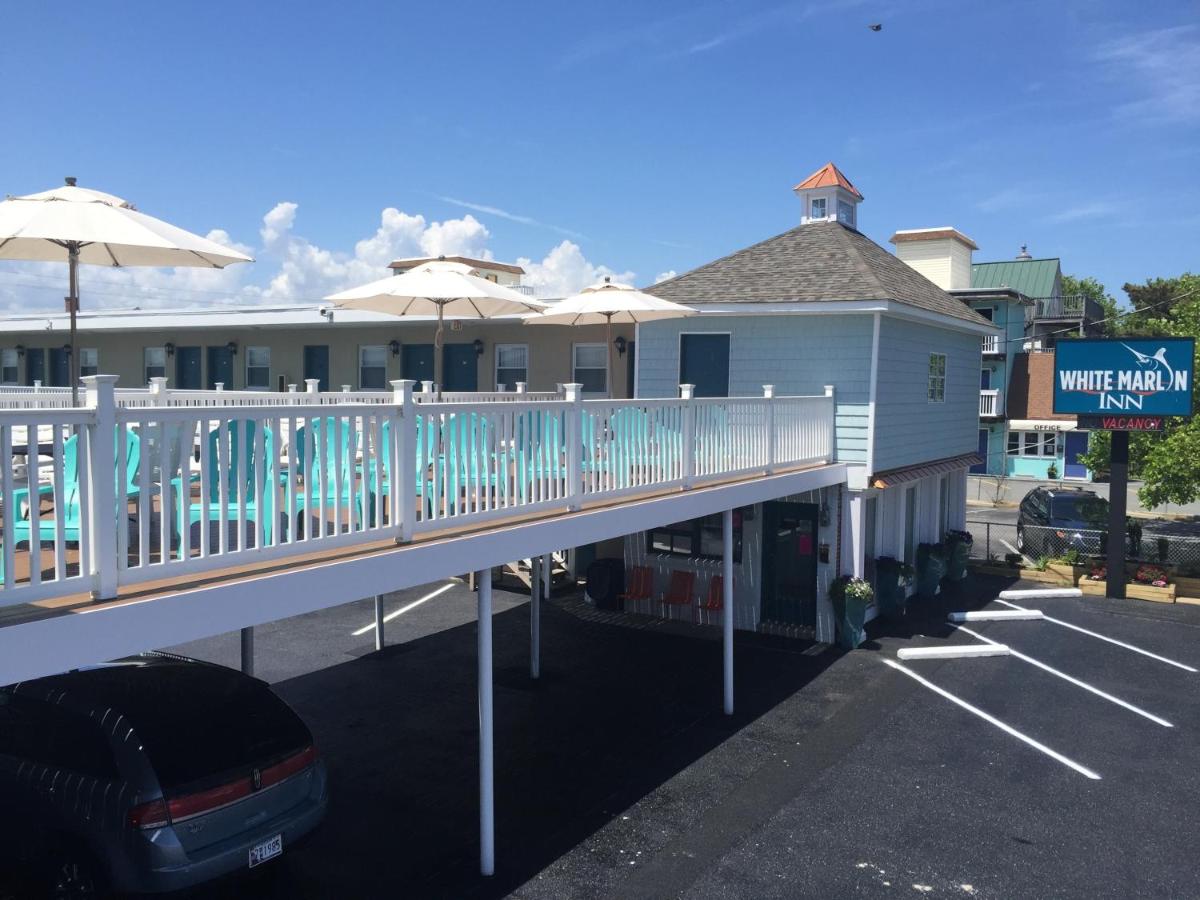 White Marlin Inn - image 3