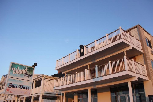 Safari Hotel Boardwalk - image 16