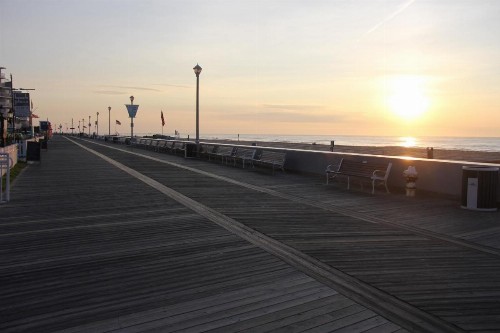 Safari Hotel Boardwalk - image 18
