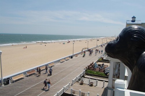 Safari Hotel Boardwalk - image 28