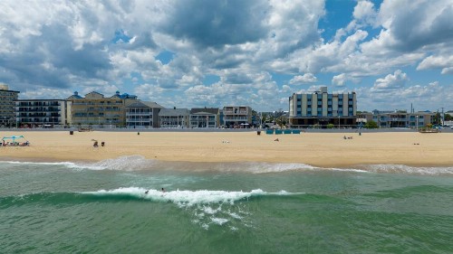 Safari Hotel Boardwalk - image 49