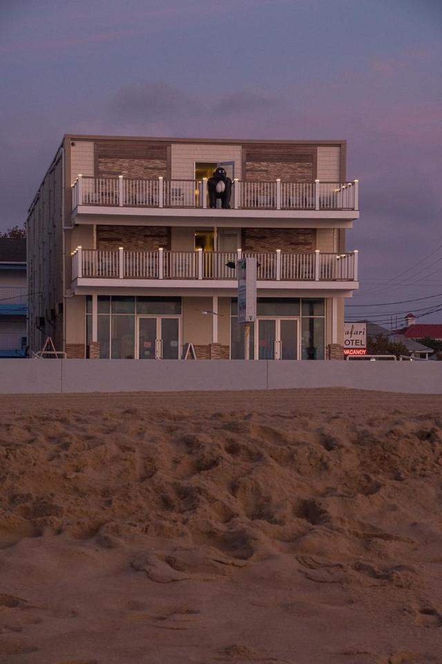 Safari Hotel Boardwalk - image 7