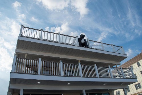 Safari Hotel Boardwalk - image 8