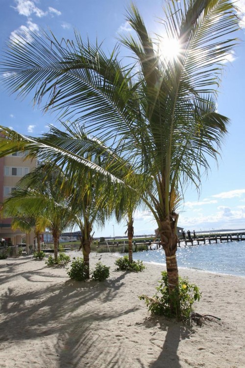 Princess Bayside Beach Hotel - image 5