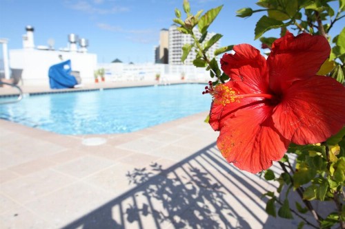 Princess Bayside Beach Hotel - image 7