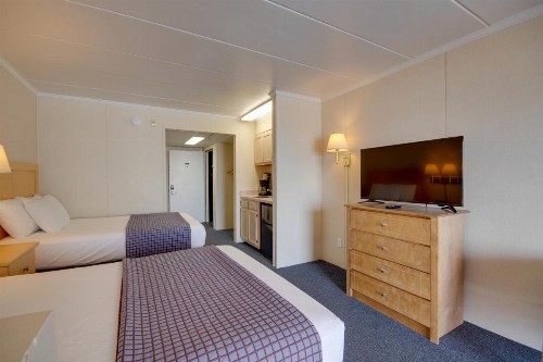 Flamingo Motel - image 16