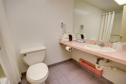Flamingo Motel - image 17