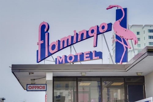 Flamingo Motel - image 18