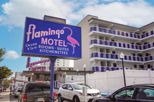 Flamingo Motel - image 29