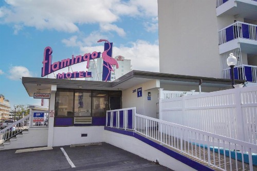 Flamingo Motel - image 35
