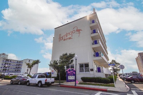 Flamingo Motel - image 38