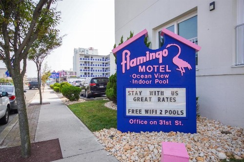 Flamingo Motel - image 40