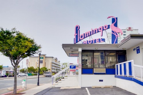 Flamingo Motel - image 6