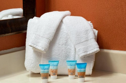 Hotel Monte Carlo Ocean City - image 33