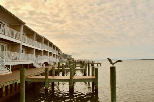 Ocean High by Capital Vacations - image 6