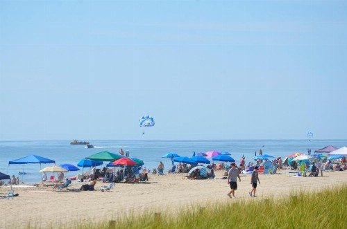 Carousel Resort Hotel and Condominiums - image 15