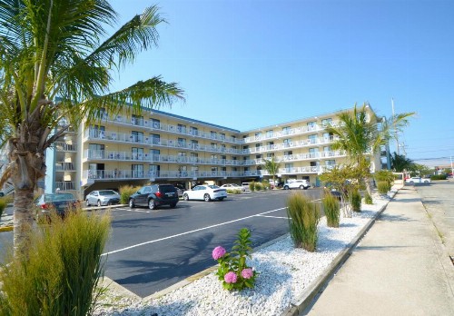 Coastal Palms Inn and Suites - image 1