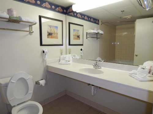 Paradise Plaza Inn - image 13