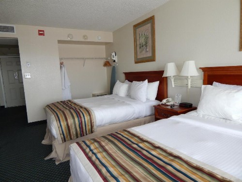 Paradise Plaza Inn - image 3