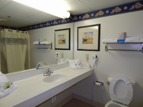 Paradise Plaza Inn - image 6