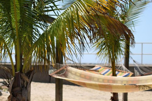 Oceanic Motel - image 12