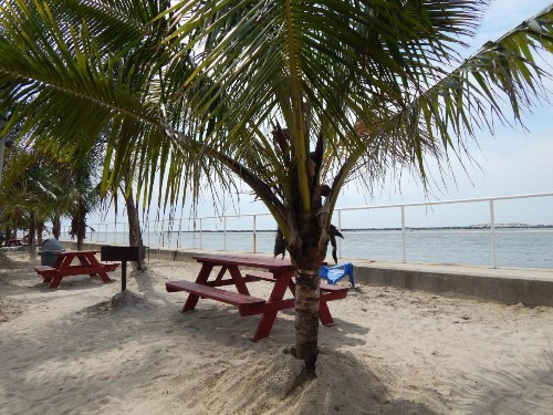 Oceanic Motel - image 16