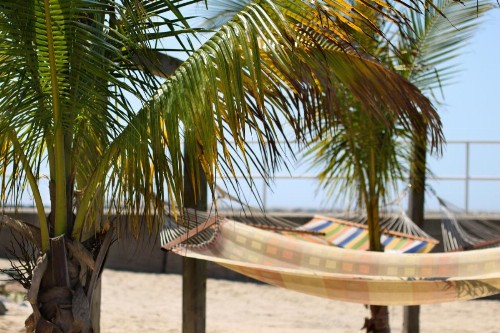 Oceanic Motel - image 18