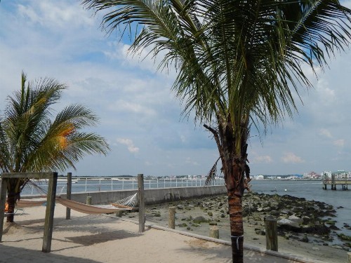 Oceanic Motel - image 28