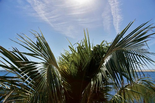 Oceanic Motel - image 37