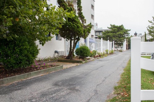 Barefoot Mailman - image 7