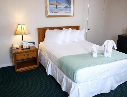 Shoreham Oceanfront Hotel - image 29