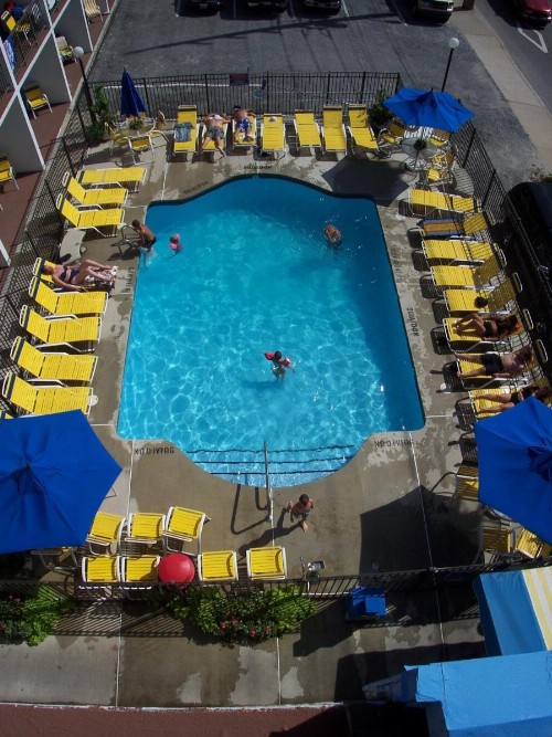 Sea Hawk Motel - image 18
