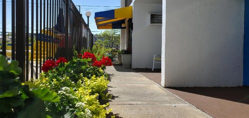 Sea Hawk Motel - image 2
