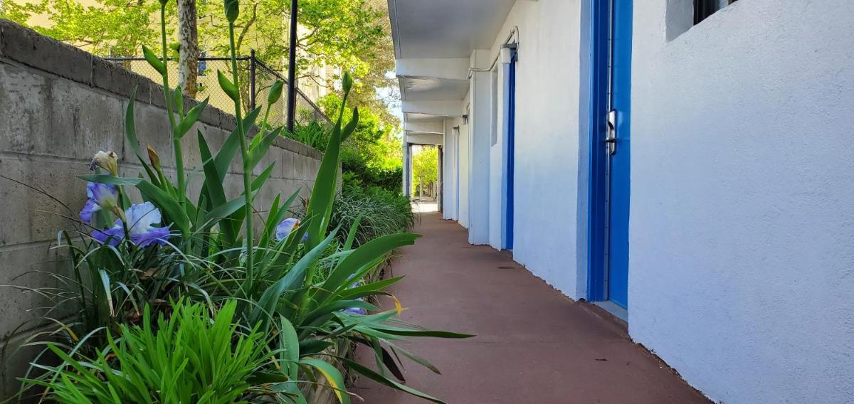 Sea Hawk Motel - image 4