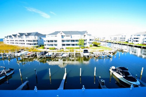 Seascape-Heron Harbour 206-10 - image 3