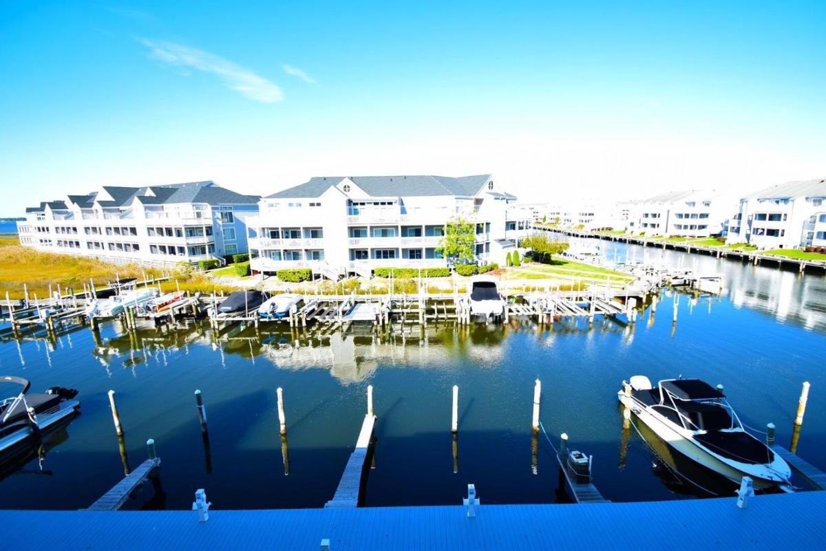 Seascape-Heron Harbour 206-10 - image 3