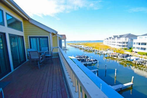 Seascape-Heron Harbour 206-10 - image 4