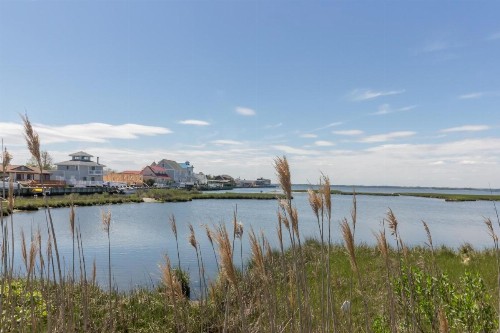Beach Club II - image 6