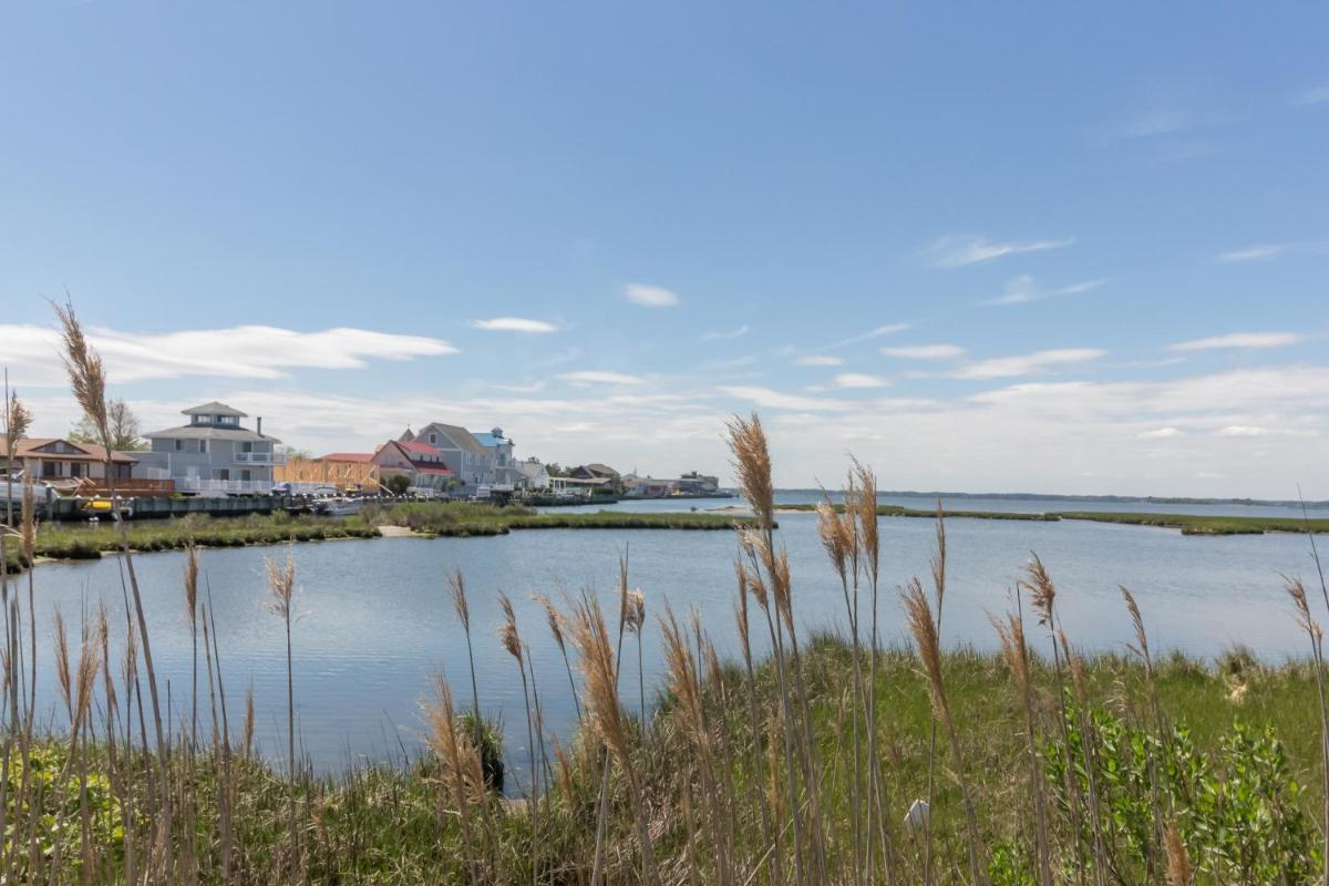 Beach Club II - image 6