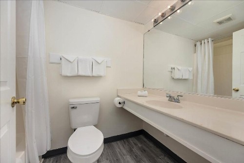 Eden Roc Motel - image 2