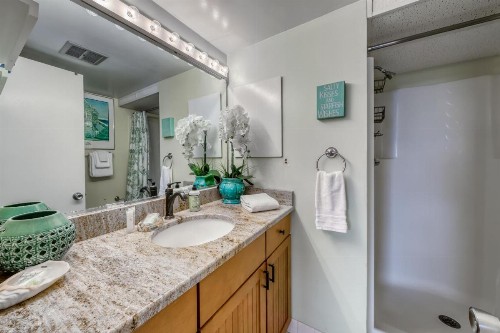 Sea Watch Condos - image 11